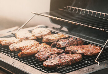 grilled meat on a gas grill