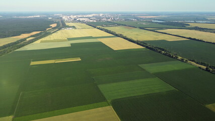 Aerial drone view flight over different agricultural fields sown with various rural agricultural...