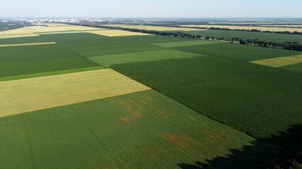 Aerial drone view flight over different agricultural fields sown with various rural agricultural cultures. Top view farmland and plantations. Landscape fields agro-industrial culture. Countryside