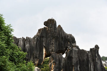 Stone Forest, or Shilin in Chinese