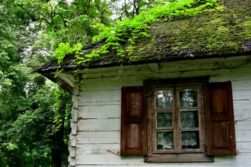 A close up on an old abandoned house with its roof almost entirely covered with vines and with other flora and with some decorations around the windows seen in the middle of a dense forest or moor 