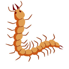 Nasty insect. Centipede and millipede. Flat cartoon isolated on white. Long worm with spikes. Brown Earwig