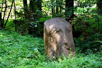 A close up on a big boulder, rock, or stone located in the middle of a field, meadow, or pastureland overgrown with herbs and other flora located in the middle of a dense field on a Polish countryside