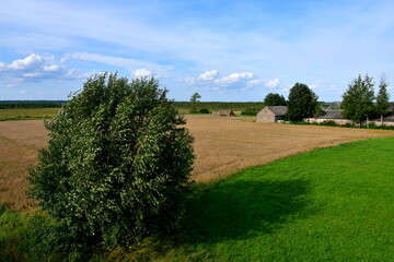 A view of a freshly harvested or mown field, meadow or pastureland located in the midle of nowhere, with some trees, shrubs, and other flora visible on a Polish countryside during a summer day