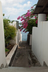 street in the old town