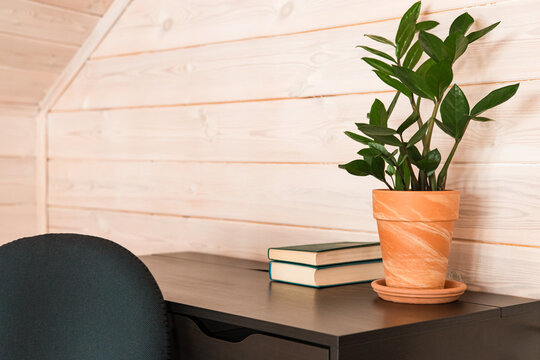 Green plant, book on table in wooden house, modern style. Business, education, remote work concept. 