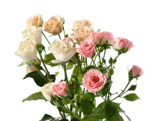 Bouquet of beautiful fresh roses on white background
