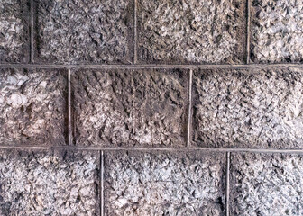 The brick wall was photographed in close-up. The wall is made of gray brick. There are traces of wine fungus on the wall.