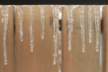 Icicles hanging down, dripping. Winter to spring. Shallow depth of field. pattern of ice crystal hanging un a peace of wood.