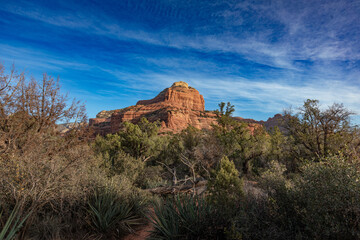 Red rock on the Boynton Canyon Trail