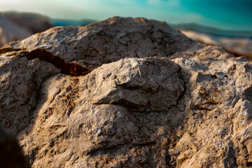 close up of a sea coast stone. stone at sunset