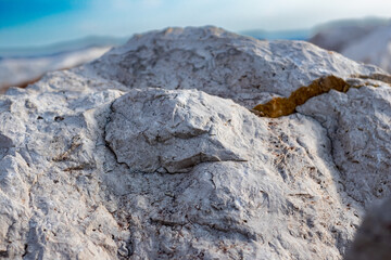 close up of a mountain stone. white limestone