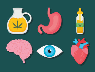 human organs and cannabis set