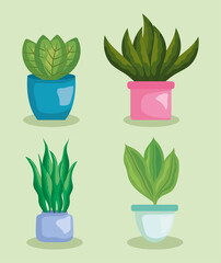 home plants icon set
