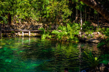 Cenotes