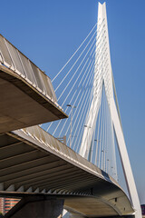 Erasmus bridge