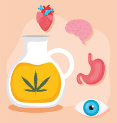 cannabis oil and human organs