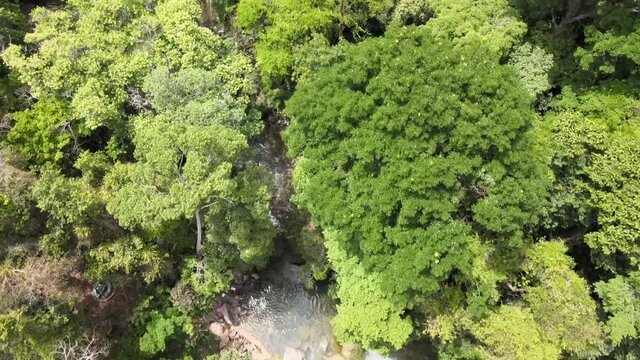 vista vertical sobre un peque&ntilde;o rio