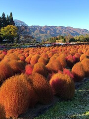 autumn in the mountains