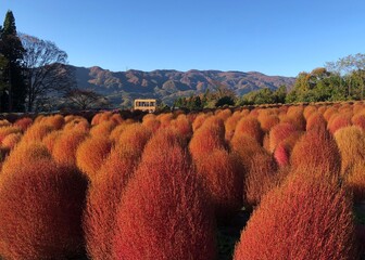 landscape in the mountains