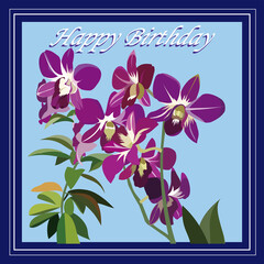 birthday background with orchid flowers