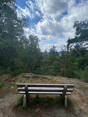 Fototapeta premium bench in the park