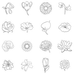 Flower icons set in outline style isolated on white background