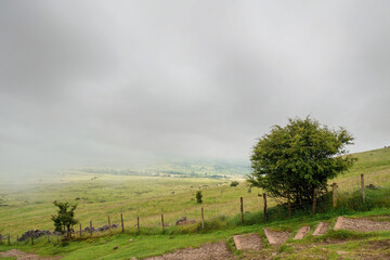 Small walking path with great view on beautiful country side with green fields and fog in the background. Irish country side. County Sligo, Ireland.