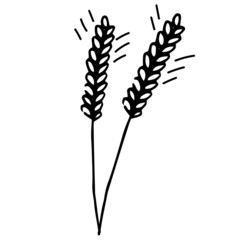 Doodle set with wheat in one line style