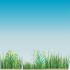 Blue Sky and Green Grass Vector Background and illustration