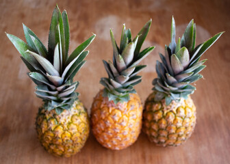 Three tropical pineapples with wooden background