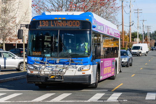 Edmonds, WA, USA - November 17, 2021; Community Transit bus service in Edmonds.  The blue and white transit vehicle is stopped at a crosswalk