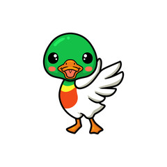 Cute little duck cartoon posing