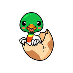 Cute little duck cartoon hatching from egg