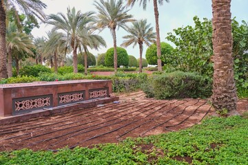Drip irrigation system hoses with automatic sprinkler in desert oasis garden. Process of watering, moisturizing, sprinkling plants in hot middle eastern countries with arid dry climate.