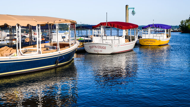 Kirkland, WA, USA - June 20, 2021; A collection of electric boats tied up on the Kirkland waterfront.  The vessels are painted and named after the state colleges