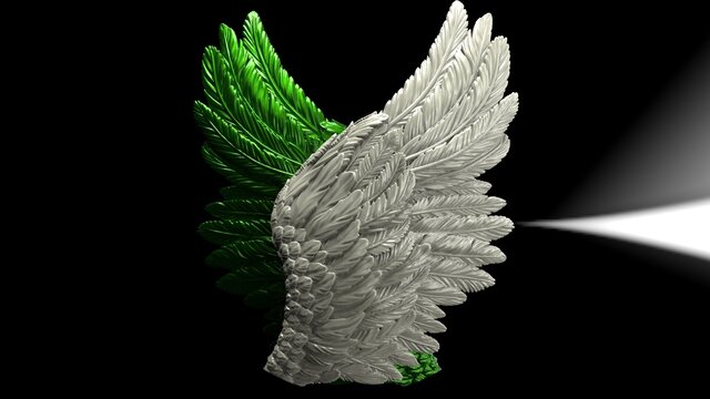 Overlapping white-green wings under black-white lighting background. Concept image of free activity, decision without regret and strategic action. 3D CG. 3D illustration.