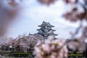 Foto op Plexiglas 大垣市墨俣一夜城と桜 © murakami