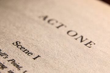 Close up of a book chapter start page