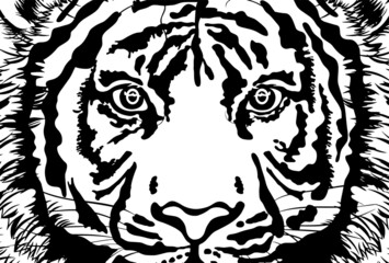 虎の顔のアップの白黒イラスト　【はがきテンプレート】