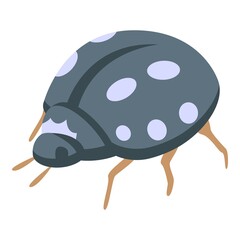 Black ladybird icon isometric vector. Cute insect. Garden beetle