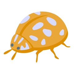 Orange ladybug icon isometric vector. Cute ladybird. Cute insect