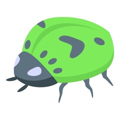 Green ladybug icon isometric vector. Cute bug. Insect garden