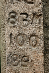 Service numbers and codes on a concrete electric pole