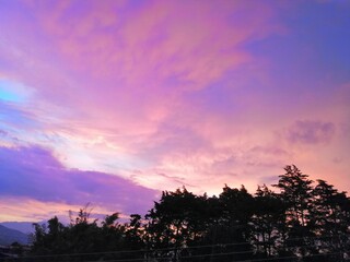 Cielo Morado