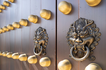 dragon head door knocker on a large wooden door