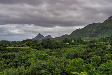 landscape with trees and clouds