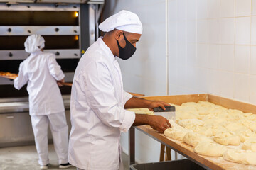 Skilled Hispanic bakery worker portioning dough with scraper and weighing pieces