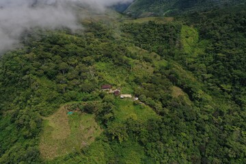 SELVA PERUANA JUNIN LA MERCED