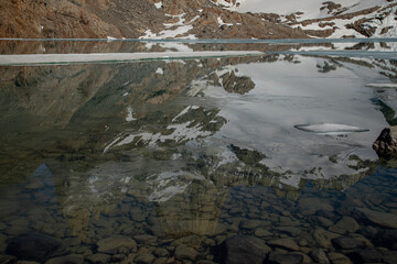 reflection in the water